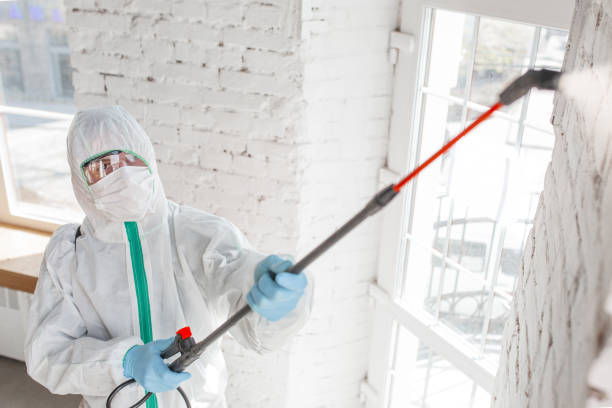 Best Biohazard Mold Removal  in Gunnison, UT