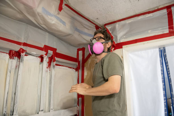 Best Mold Remediation for Healthcare Facilities  in Gunnison, UT