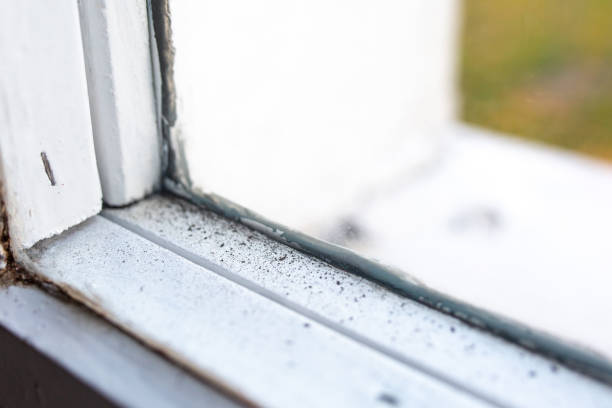 Best Mold Odor Removal Services  in Gunnison, UT