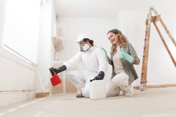 Best Mold Damage Restoration  in Gunnison, UT