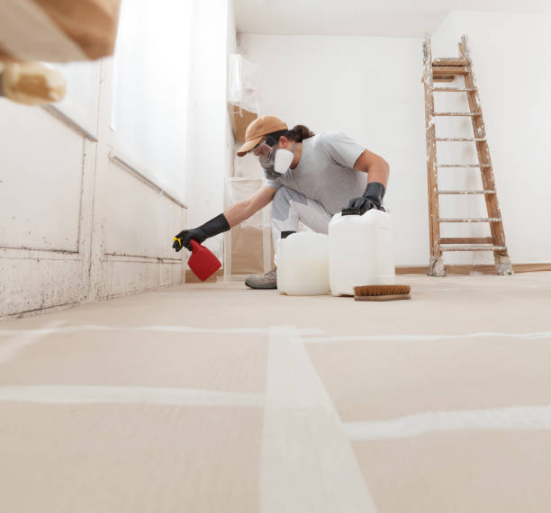Best Commercial Mold Inspection  in Gunnison, UT