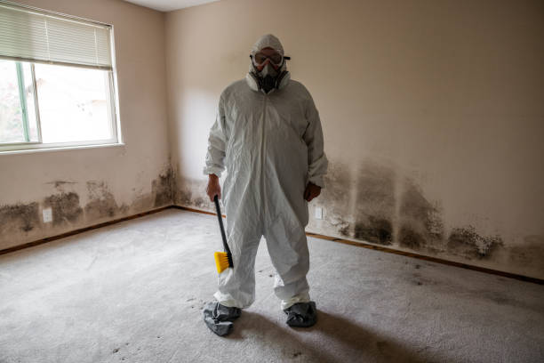 Best Mold Prevention Services  in Gunnison, UT